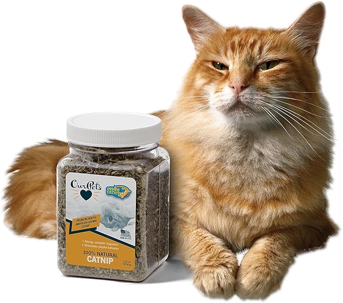 Our Pets Premium Catnip - 2.25 oz Jar of High Potency Catnip - 100% North American Grown