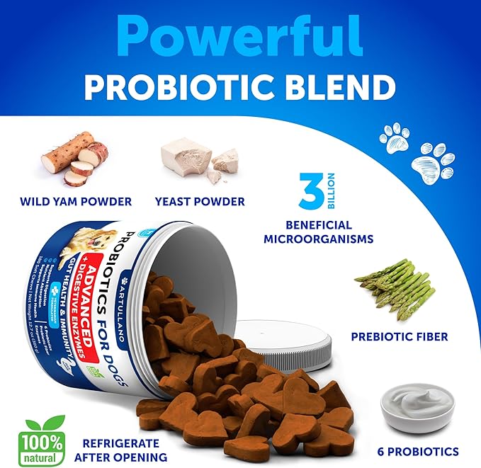 Probiotics for Dogs - Support Gut Health, Itchy Skin, Allergies, Immunity, Yeast Balance - Dog Probiotics and Digestive Enzymes with Prebiotics - Reduce Diarrhea, Gas - 180 Probiotic Chews for Dogs