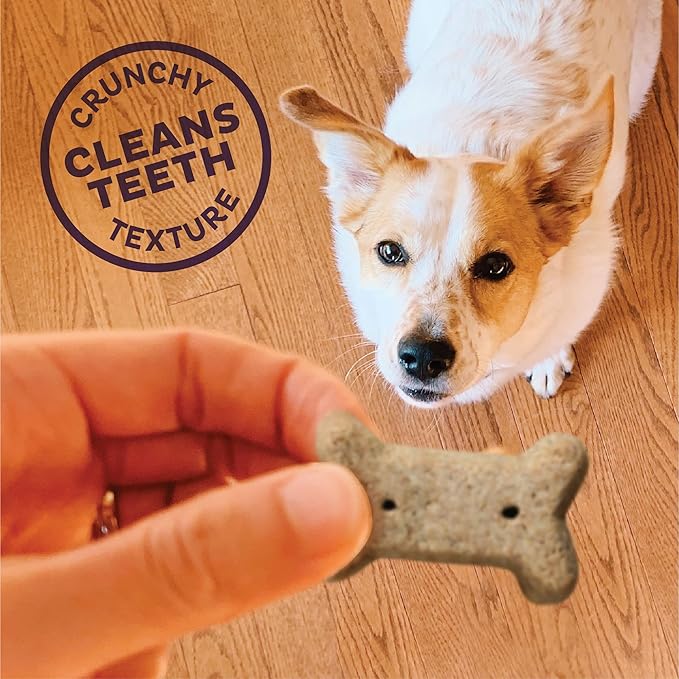 Wellness Old Mother Hubbard Classic Bac'N'Cheez Natural Small Oven-Baked Biscuits Dog Treats, 20 Ounce Bag