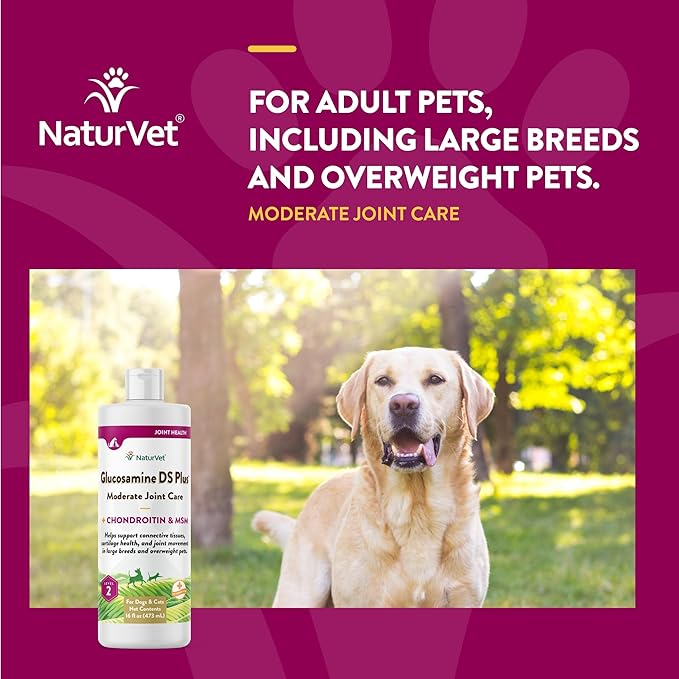 NaturVet Glucosamine DS Plus Hip & Joint Support Liquid Pet Supplement – Level 2 Moderate Care for Dogs & Cats – Includes Glucosamine, MSM, Chondroitin – 16 Oz