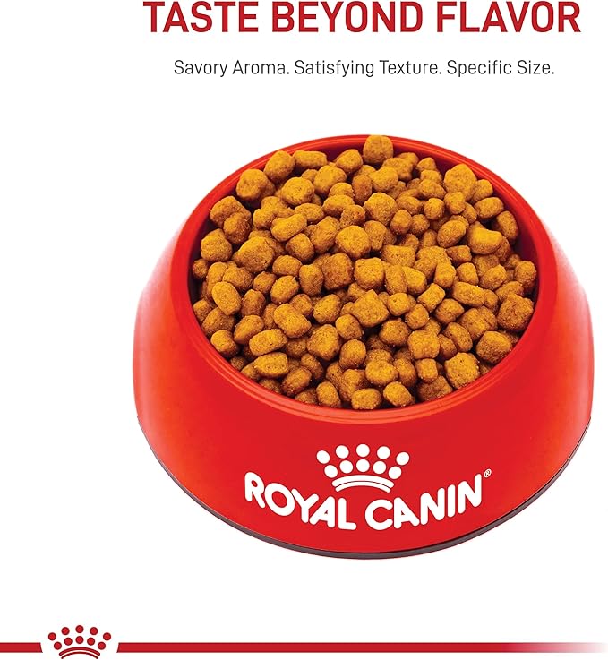 Royal Canin Breed Health Nutrition Chihuahua 8+ Adult Dry Dog Food, 2.5 lb bag