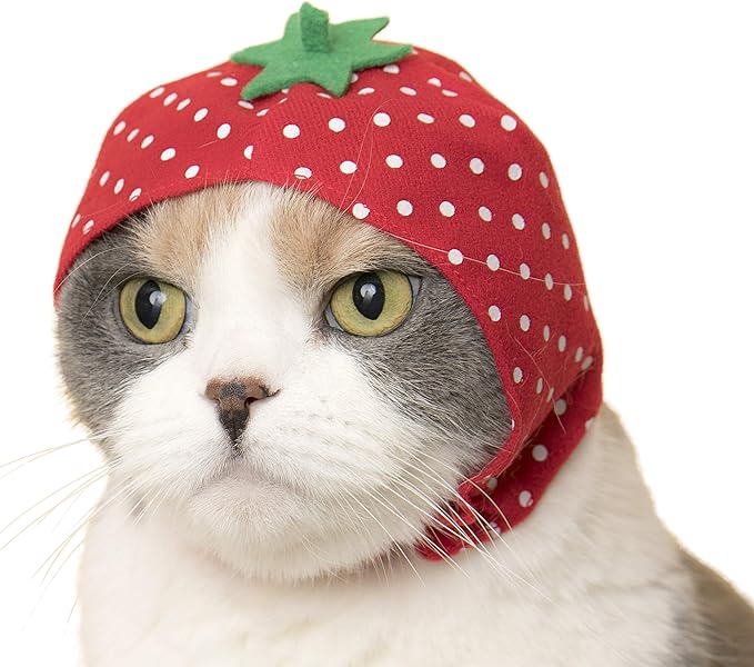 Kitan Club Cat Cap - Pet Hat Blind Box includes 1 of 6 Cute Styles - Soft, Comfortable - Authentic Japanese Kawaii Design - Animal-Safe Materials, Premium Quality (Fruit)