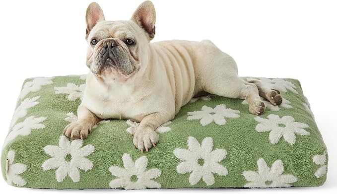 Lesure Dog Bed Medium Size Dog-Thick Shredded Chopped Foam Pet Bed, Dog Bed Indoor with Removable Cover, Cute Modern Fuzzy Plush & Anti Slip Bottom(30'x20', Green)