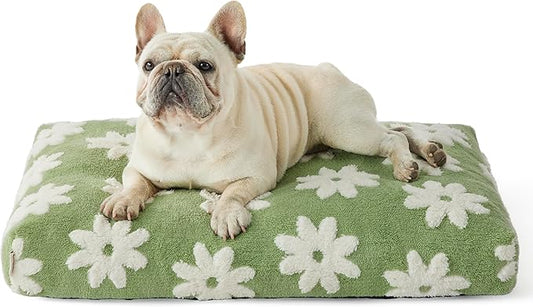 Lesure Dog Bed Medium Size Dog-Thick Shredded Chopped Foam Pet Bed, Dog Bed Indoor with Removable Cover, Cute Modern Fuzzy Plush & Anti Slip Bottom(30'x20', Green)