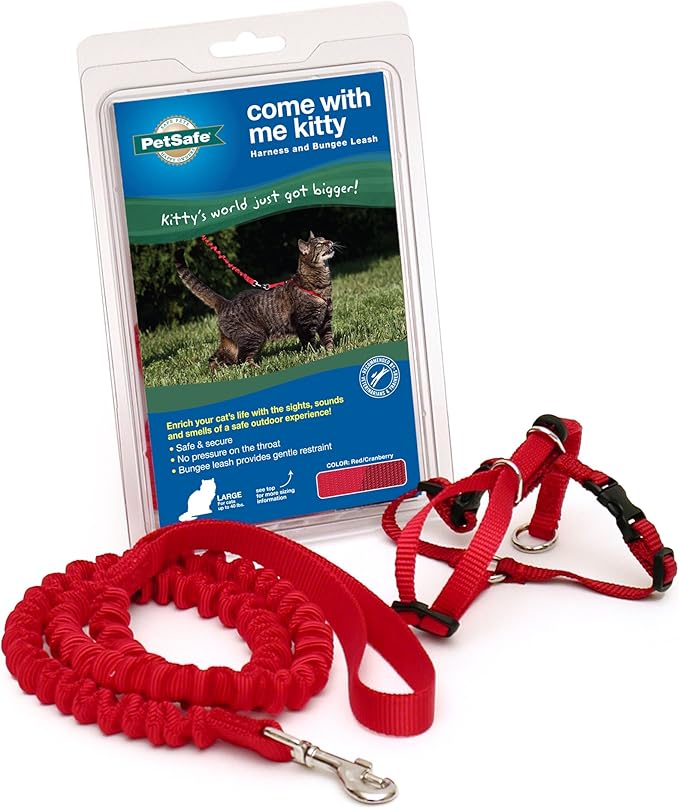 PetSafe Come with Me Kitty Harness and Bungee Leash, Harness for Cats, Large, Red/Cranberry