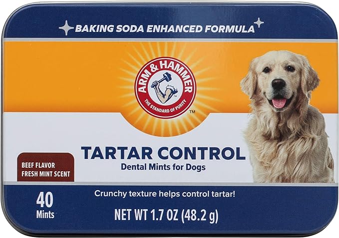 Arm & Hammer for Pets Tartar Control Dental Mints for Dogs | Dog Dental Mints Help Reduce Plaque & Tartar Buildup Without Brushing | Beef Flavor, 40 Count