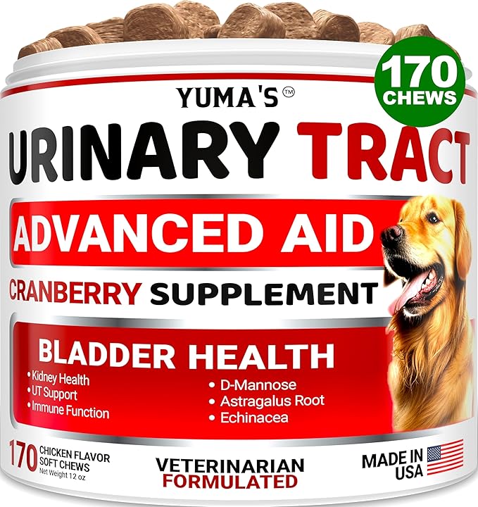 Dog UTI Treatment - 170 Treats - Cranberry Supplement for Dogs - Bladder Control for Dogs - Dog Urinary Tract Infection Treatment - UTI Medicine for Dogs Multivitamin - Dog Vitamins and Supplements