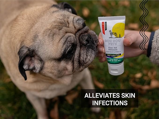 First Aid Ointment Holistic Natural Derived Herbal for Dogs, Cats, Horses for Wounds: Minor Cuts, Bleeding, Abrasions, Slow-Healing Wounds, Open and Puncture Wounds – Made in USA – 1 oz