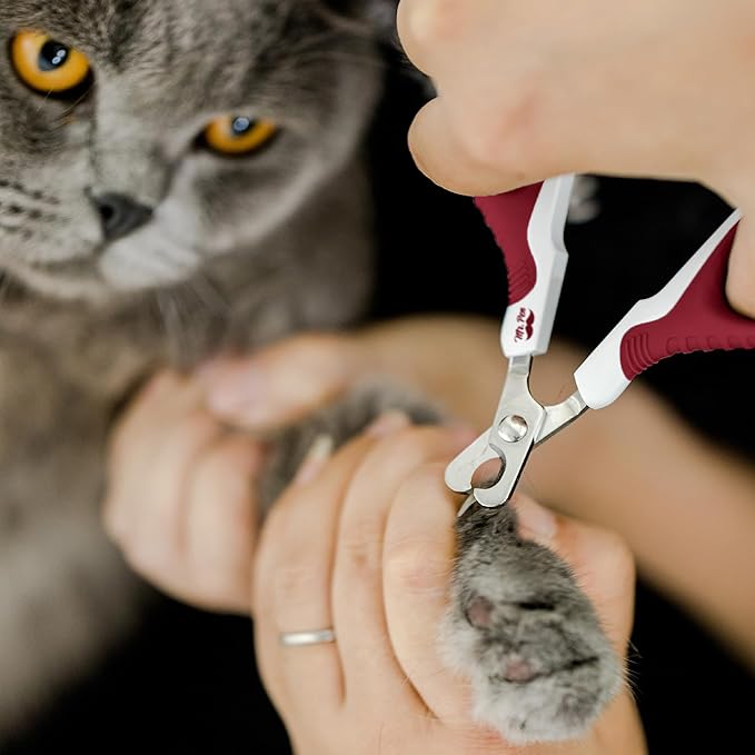 Mr. Pen- Cat Nail Clipper, Wine & White Cat Nail Trimmer, Cat Nail Clippers, Cat Claw Clippers, Cat Clippers for Nails, Pet Nail Clippers, Kitten Nail Clipper, Small Dog Nail Clipper Cat Claw Trimmer