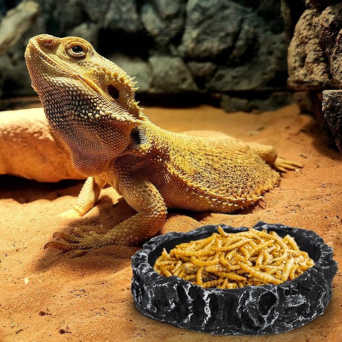 Frcctre 4 Pack Reptile Food Dish Bowl, Reptile Feeding Dish Water Bowl, Amphibian Reptile Breadworm Feeding Terrarium Bowl for Leopard Gecko Lizard Tortoise Frog Bearded Dragon Chameleon