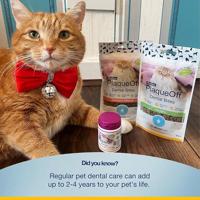 Plaque Off for Cats 40g - Special Feline Formulation
