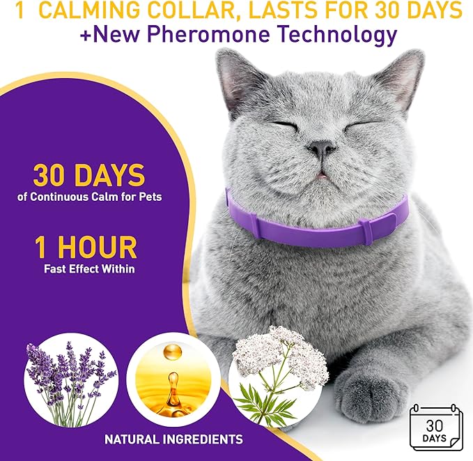 4 Pack Calming Collar for Cats – Pheromone Cat Calming Collar Cat Anxiety Relief and Stress – Adjustable Water Resistant Breakaway Calming Collars Natural Ingredients Pheromones Rapid Effect