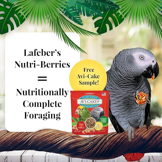 LAFEBER'S Nutri-Berries Pet Bird Food Variety Sampler Bundles, Made with Non-GMO and Human-Grade Ingredients, for Parrots, 10 oz. Each (4 Pk Bundle) with Free Avi-Cake Sample