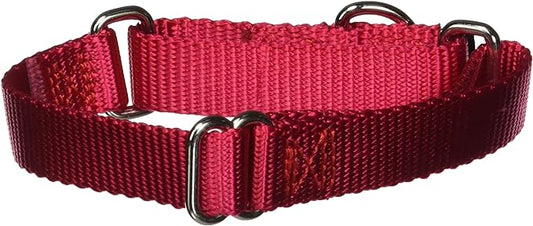 PetSafe Adjustable Martingale Collar - Only Tightens When Dogs Pull, Prevents Slipping Out - Helps with Strong Pullers, Increased Control - Alternative to Choke Collar - 3/4", Small, Red