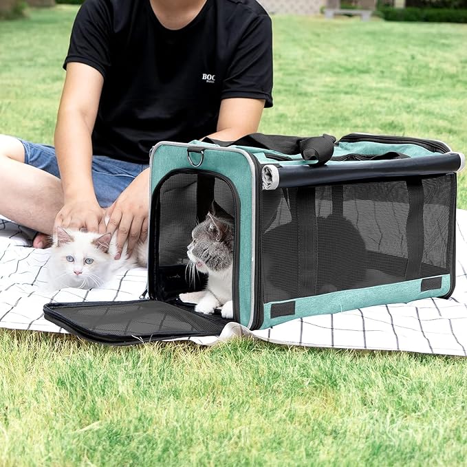 Small Dog Carrier for Puppy Yorkshire Softshell Car Transport Chihuahua Carry Cage 18-inch Collapsible Doggie Vet Visit Crate Easy Load Roomy Pet Carrier Bag Kennel Dog Essentials Teal