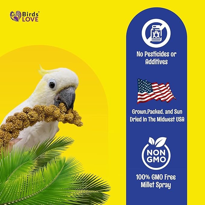 Birds LOVE Economy & Thin Special Spray Millet - GMO-Free (No Stems Only Edible Tops) for Birds Cockatiel, Lovebird, Parakeet, Finch, Canary All Parrots Healthy Treat 7oz - Pack of 4