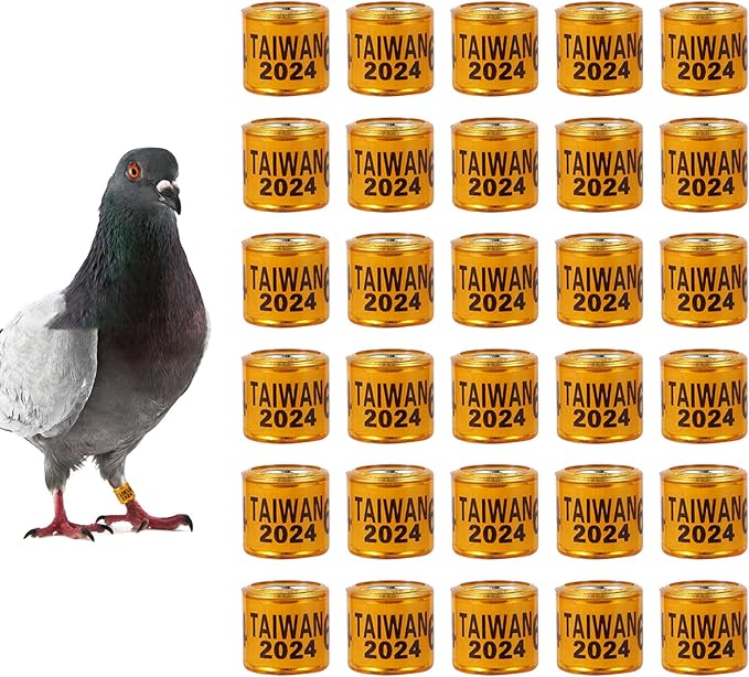 50Pcs Multicolor Aluminium Pigeon Leg Rings with 2024 Taiwan Training Identify Birds Foot Ring Identify 8mm Plastic Bird Leg Bands (Orange)