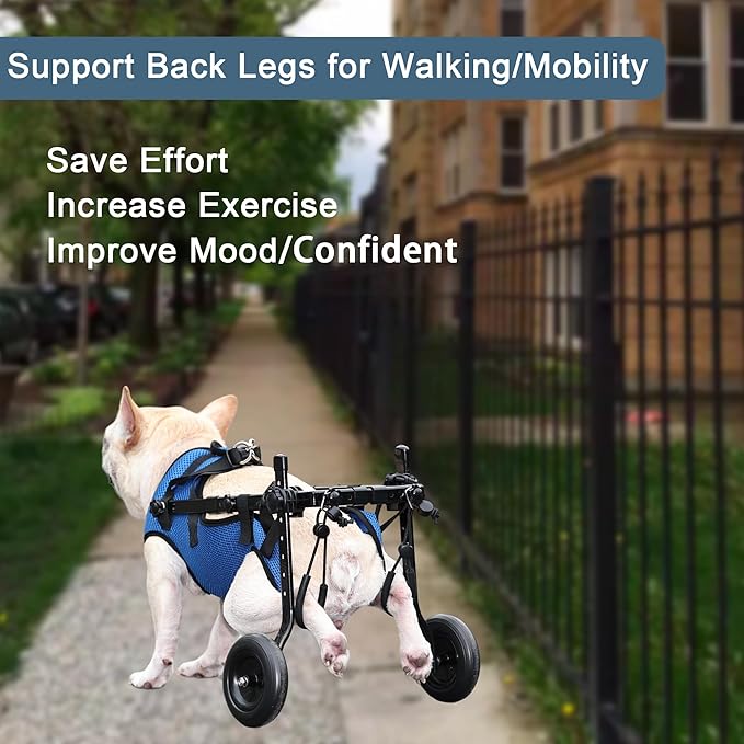 𝑼𝑷𝑮𝑹𝑨𝑫𝑬𝑫 Adjustable Dog Wheelchair, Lightweight Dog Scooter for Back Legs, Max 11 Pound Dogs, Wheelchair for paralyzed Injured Lame Disabled Handicapped Dogs -S