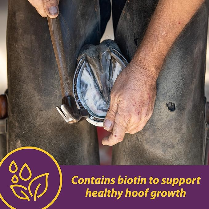 Vita Biotin Crumbles horse hoof Supplement, Helps maintain healthy, sound hooves and strong hoof walls, 3 lbs., 48 day supply