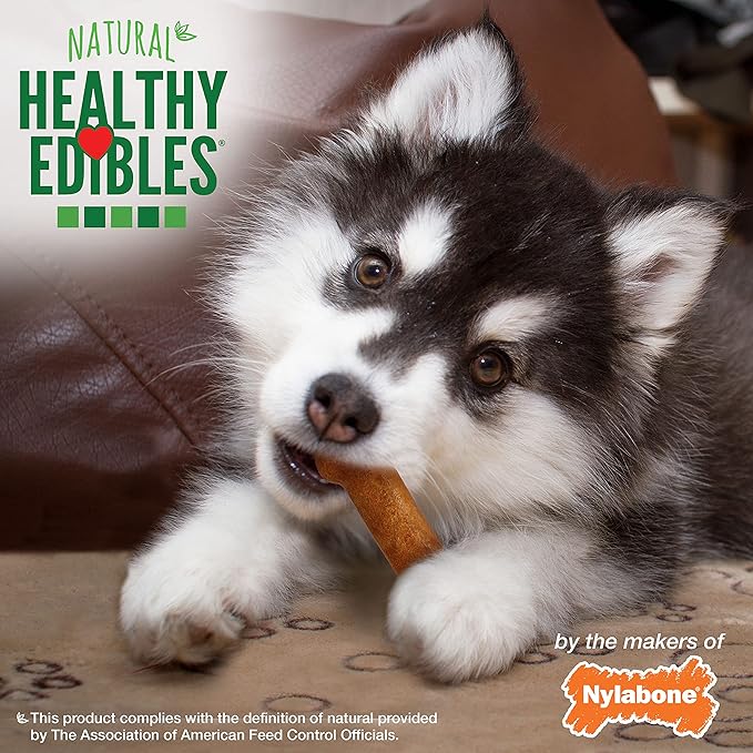 Nylabone Healthy Edibles Natural Puppy Chews Long Lasting Turkey & Sweet Potato Flavor Treats for Dogs, Small/Regular (3 Count)