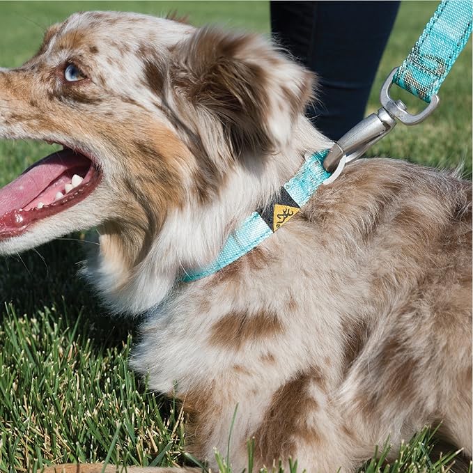 Browning Classic Webbing Collar Realtree Seaglass Small Teal