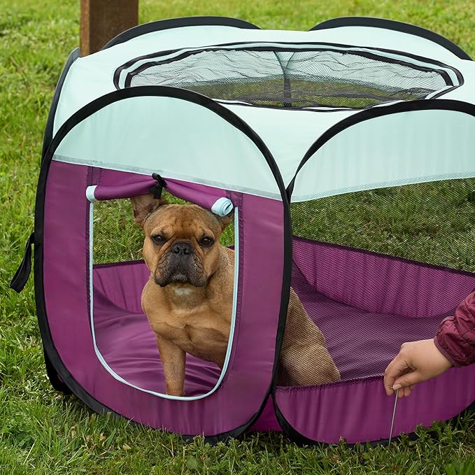 Furhaven Pop Up Playpen Pet Tent Playground - Purple, Small