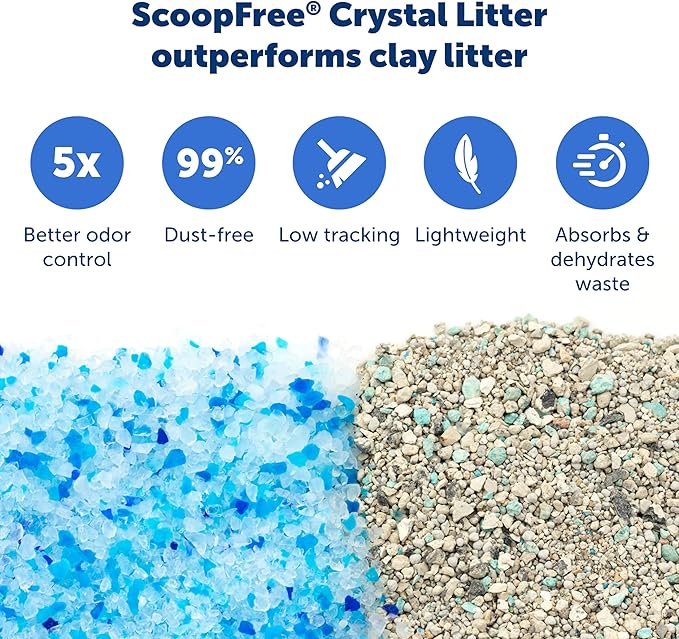 Official PetSafe ScoopFree Complete Reusable Tray - Includes 4.3 lb of Premium Blue Crystal Litter - Compatible with All PetSafe ScoopFree Complete Automatic Self Cleaning Litter Box System