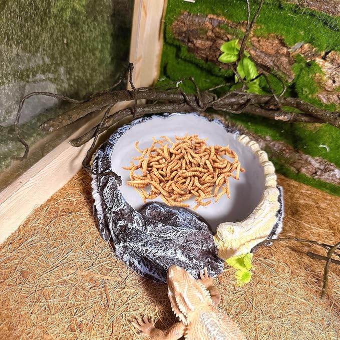 Tfwadmx Bearded Dragon Water Bowl,Reptile Feeding Dish, Snake Water Dish, Bearded Dragon Food Dish, Reptile Food Bowl for Geckos Lizards Turtles Snakes Chameleons