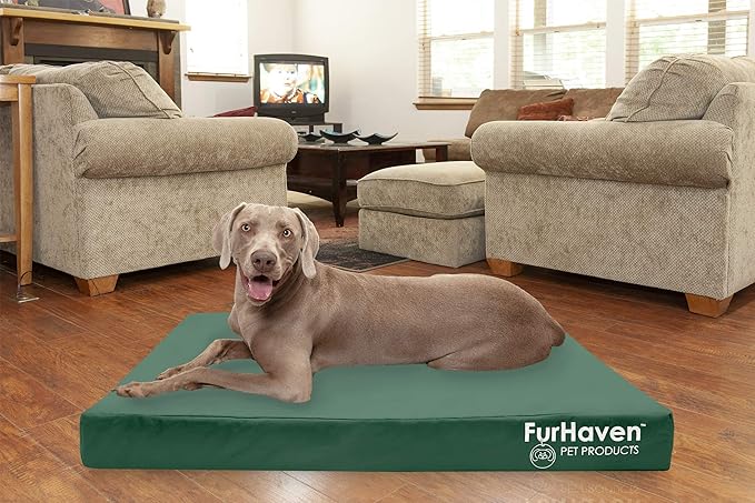 Furhaven Water-Resistant Cooling Gel Dog Bed for Large Dogs w/ Removable Washable Cover, For Dogs Up to 125 lbs - Indoor/Outdoor Logo Print Oxford Polycanvas Mattress - Forest, Jumbo Plus/XXL