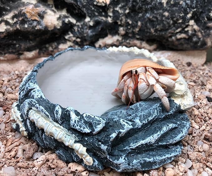 Reptile water dish Feeding dish for Leopard Gecko Turtle Frog snake Lizard Spider Scorpion Chameleon, reptile food and water dish, reptile feeding bowl