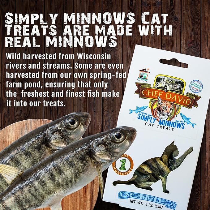 Chef David Natural Freeze Dried Cat Treats - Healthy Cat Fish Treats - Simply Minnows - 0.5 oz, Pack of 6