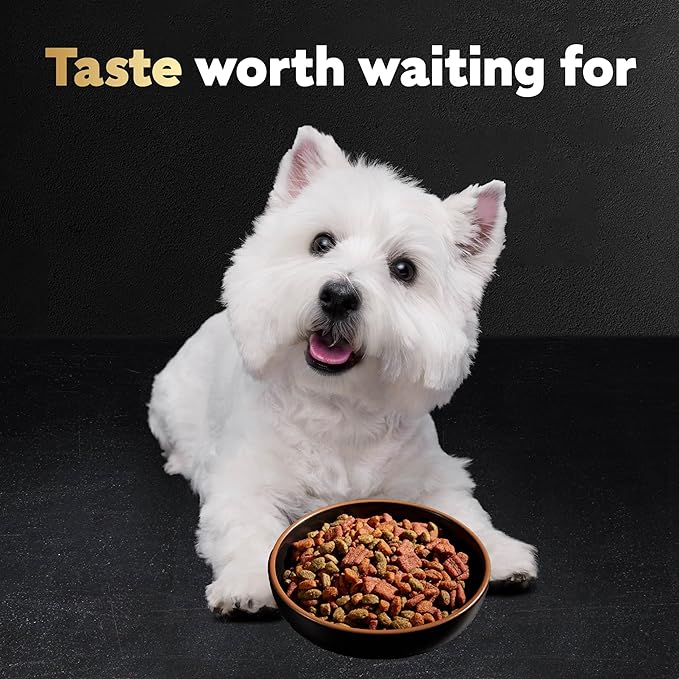 CESAR Adult Small Breed Dry Dog Food Rotisserie Chicken Flavor with Spring Vegetables Garnish, 5 lb. Bag