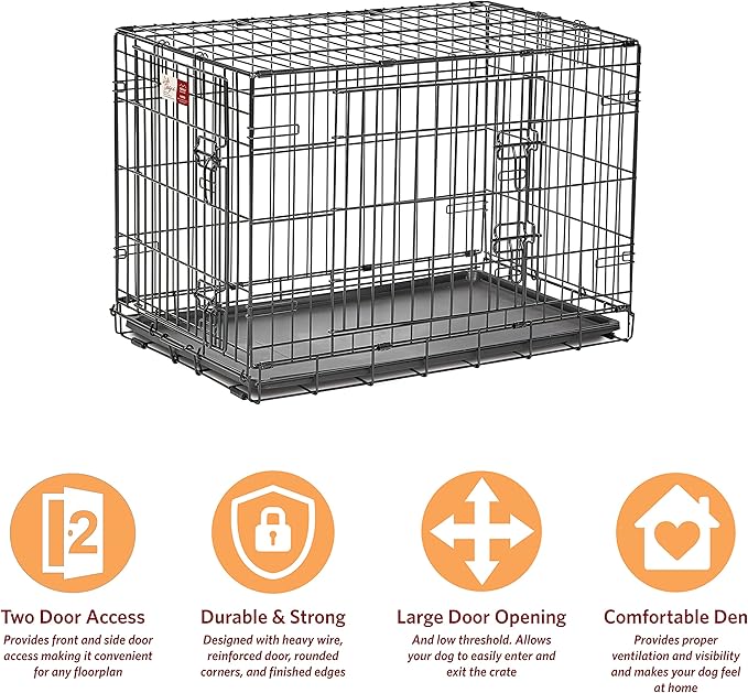 Medium Dog Crate | MidWest Life Stages 30" Double Door Folding Metal Dog Breed Crate | Divider Panel, Floor Protecting Feet & Dog Pan | 30.6L x 19.3W x 21.4H Inches