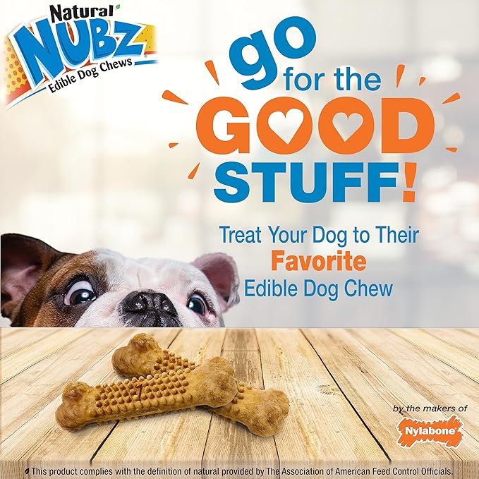 Nylabone Nubz Natural Edible Chew Treats for Dogs, Made in USA, Chicken Flavor, Small - Up to 25 lbs. (8 Count)