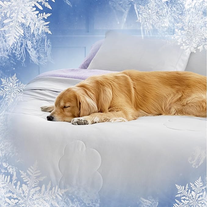 Lesure Premium Cooling Dog Blankets for Bed - Washable Dog Cooling Throw Blanket with Q-MAX>0.4，Durable Self Cooling Pet Mat, Soft Cooling Summer Blanket for Hot Weather, Grey, 60x80