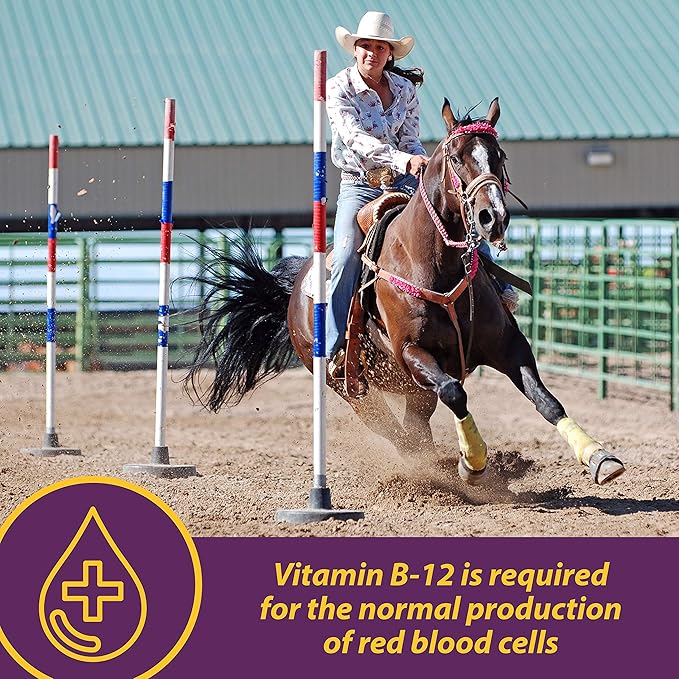 Horse Health Vita B-12 Crumbles Supplement for Horses, Supports red blood cell production for peak performance, 3 pounds, 48 day supply