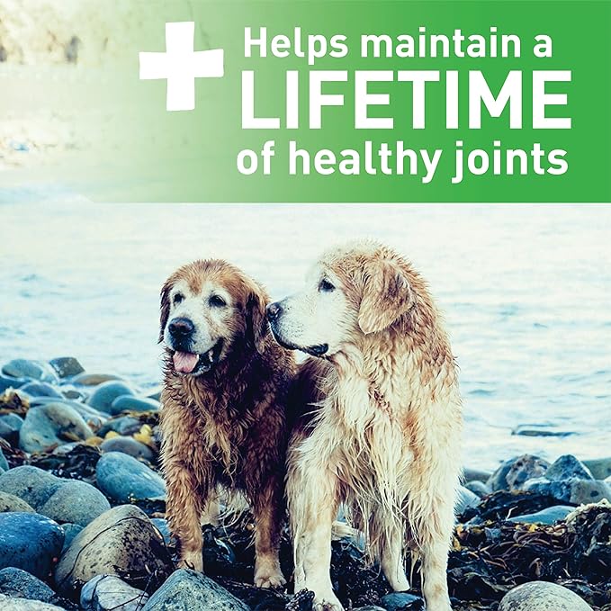 Greenies Aging Care TEENIE Natural Dental Care Dog Treats, 27 oz. Pack (96 Treats)