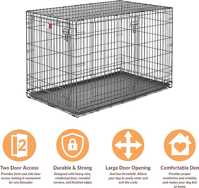 MidWest Homes for Pets XL Dog Crate | MidWest Life Stages Double Door Folding Metal Dog Crate | Divider Panel, Floor Protecting Feet, Leak-Proof Dog Pan | 48L x 30W x 33H Inches, XL Dog Breed