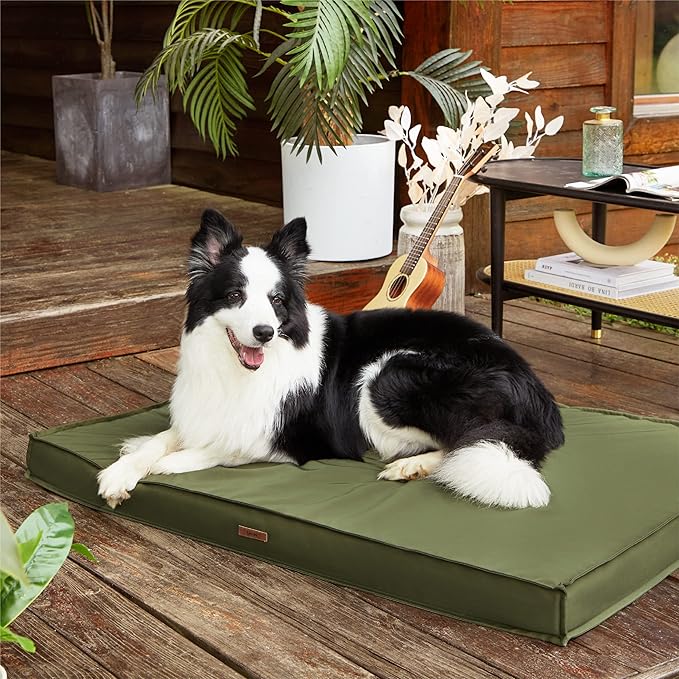 Lesure XL Waterproof Dog Beds - Outdoor Dog Bed Washable with Oxford Fabric Surface, Extra Large Egg Orthopedic Foam Pet Bed with Removable and Durable Cover, Machine Washable