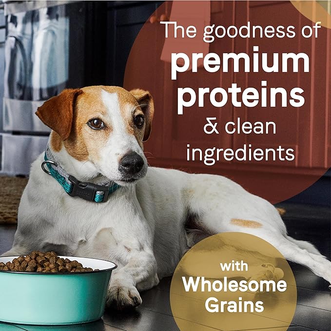 CANIDAE Pure Limited Ingredient Premium Adult Dry Dog Food, Real Beef & Barley Recipe, 22 lbs, with Wholesome Grains