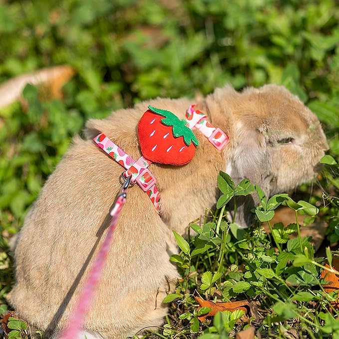 Rabbit Harness and Leash - Adjustable Bunny Harness Escape Proof for Walking Runnig Hiking Camping Outdoor - Pink Strawberry Pattern Cute Small Animal Harness Leash Set