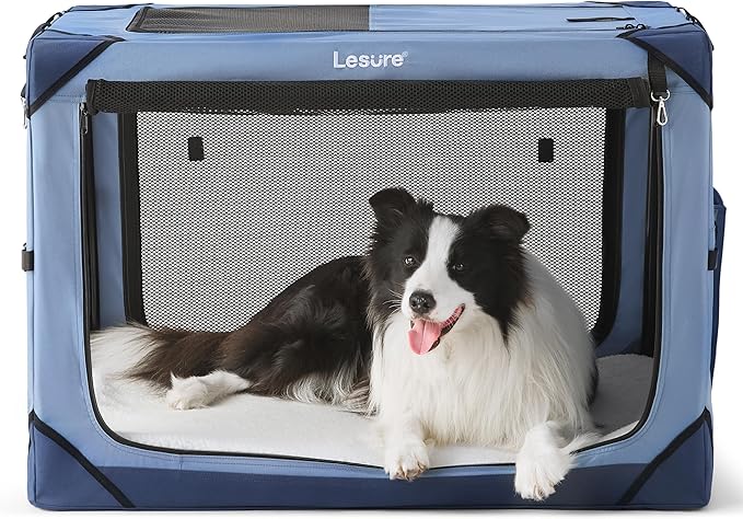 Lesure Collapsible Dog Crate - Portable Dog Travel Crate Kennel for Large Dog, 4-Door Pet Crate with Durable Mesh Windows, Indoor & Outdoor (Blue)
