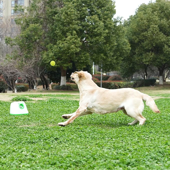 Automatic Ball Launcher for Dogs, 4 Launch Distance Modes, 2-inch Small Balls Included, Suitable for Small to Medium Sized Dogs (Green with tennis balls)