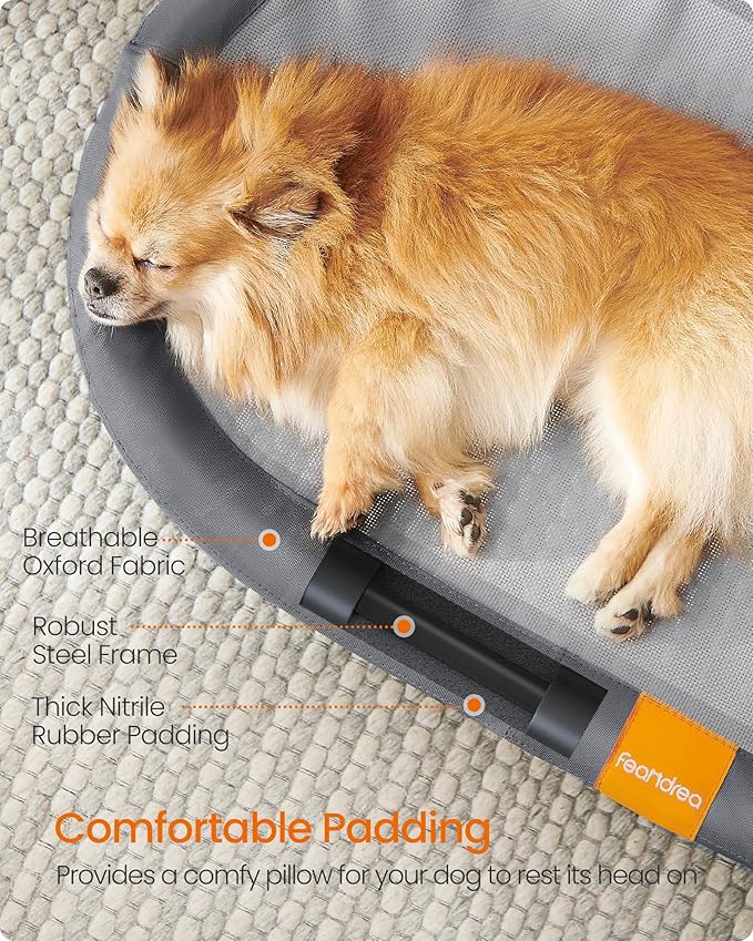 Feandrea Pet Bed, Elevated Dog Bed for Small, Medium Dogs, Cat Bed for Multiple Cats, with Removable Washable Mesh, for Pets up to 40 lb, Oval, Gray UPCB003G01