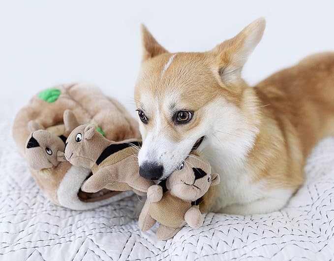 Outward Hound Squeakin' Squirrels Plush Replacement Dog Toys - 3 Pack