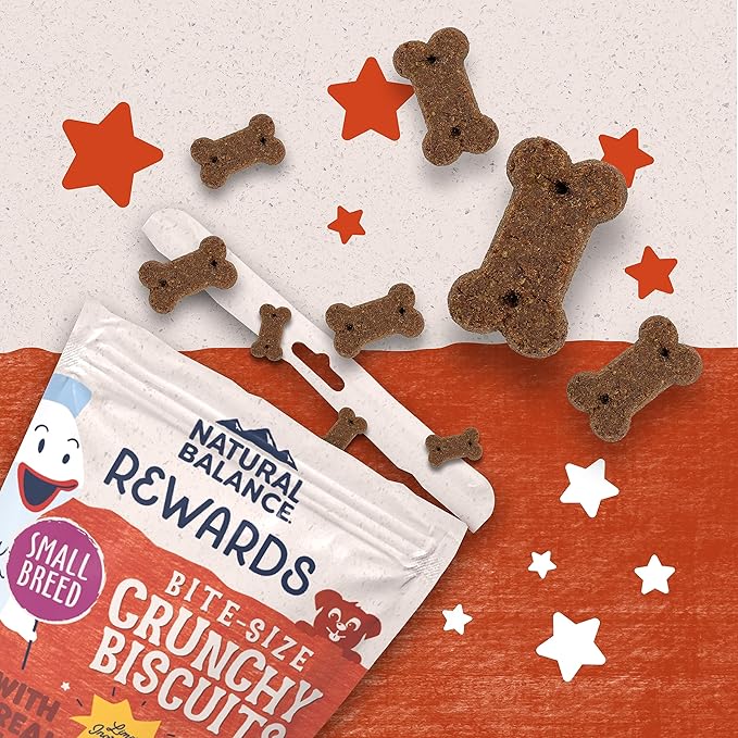 Natural Balance Limited Ingredient Rewards Crunchy Biscuits, Bite-Size Grain-Free Dog Treats for Small-Breed Adult Dogs, Made with Real Salmon, 8 Ounce (Pack of 1)