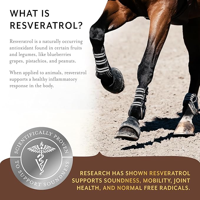 Equithrive Original Joint Supplement Pellets with Resveratrol and Hyaluronic Acid for Horses in Training and Competition and Senior Horses, Equine Care, 10 lbs