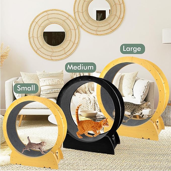 Cat Wheel Exercise Cat Treadmill for Fitness Weight