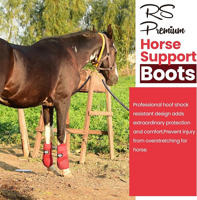 RS Premium Design Horse Boots, Protective and Shock Absorber | Horse Fly Boots Best for Jump Training and for Trails | Ok Fabric Provides Ultimate Flexibility (Red, Large)