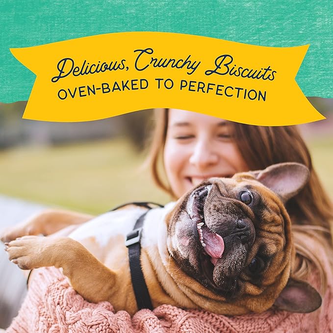 Natural Balance Limited Ingredient Rewards Crunchy Biscuits, Grain-Free Dog Treats for Adult Dogs of All Breeds, Chicken & Sweet Potato Recipe, 14 Ounce (Pack of 1)